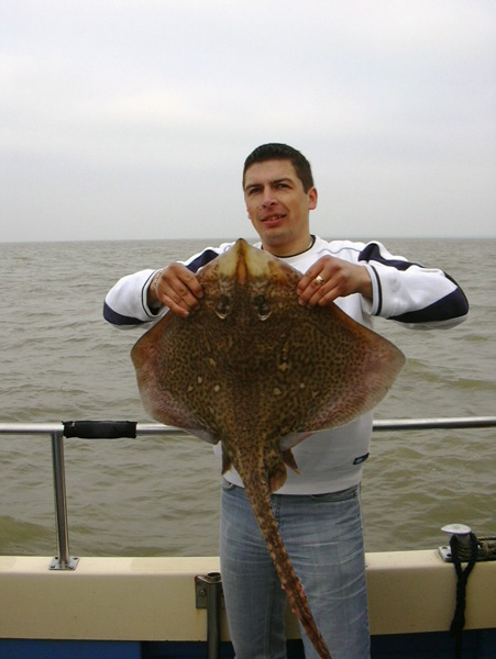 Skate Fishing with Chris Mole Charters