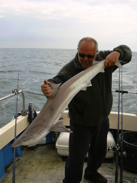 Tope Fishing with Chris Mole Charters
